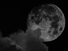 상사여귀 相思厲鬼 -12