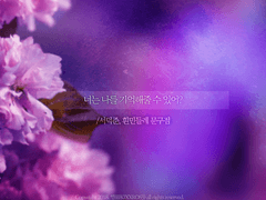 헤더 샘플 ; 기본 타입