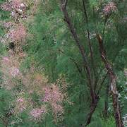 종합영양제 추천