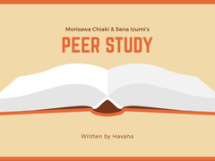 Peer Study