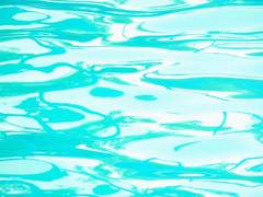 [짐본즈] 여름의 징후