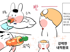 백보스 & 도토끼