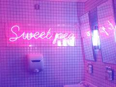 매그너스 오른쪽 단편 재록본 샘플