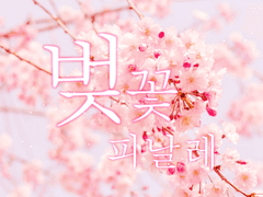 coc 타이만 자작 시나리오 : [벚꽃 피날레]