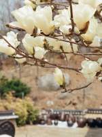 돌아보면, 모든 속도가 슬프다