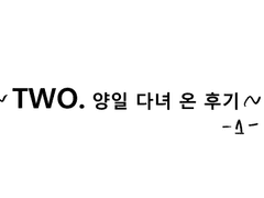 TWO. 전시회 다녀온 후기