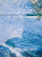 내가 좋아하는 판섢 떡밥