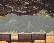 [솔부] 청춘의 책갈피 中