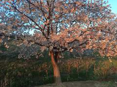 망원동 출사 겸 나들이