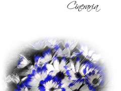 [나루토/하시마다]Cineraria 01