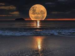 상사여귀 相思厲鬼 -13