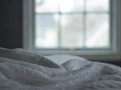 [스팁버키] 가졌어야 할 아침