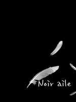 twinkle 13. 솔른 (종합)