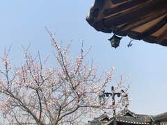 18년 3월 30일과 31일