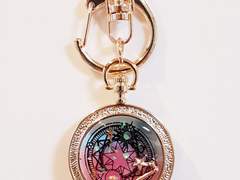 모아서 올려본다