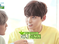 귀여워 노랑이 민트블루