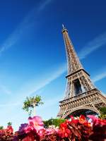 에도시대물 모음집