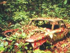 오, 나의 신령님!