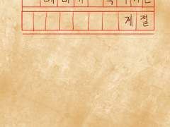 매미가 죽어가는 계절