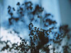 상사여귀 相思厲鬼 -10