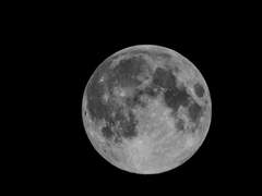 [레이코가] 마물의 밤 - first