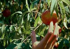 늍민 Call me by your name 조각글