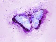 제2기 과학기술연구소 신구간 판매 안내(~1/7)