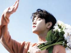 너는 나의 햇살