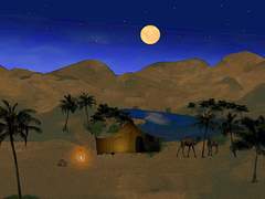 [석순] 세상의 끝