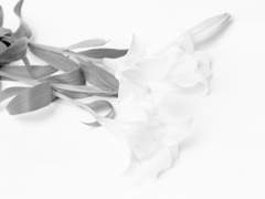 [진총]JAZZ TUNE 3화