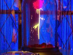 [스팁버키] Preserved Rose