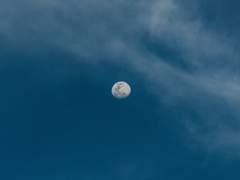 [스팁버키] 잃어버리지 않겠어