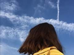 별사탕 레모네이드