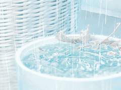 When it's winter, I wait for spring.