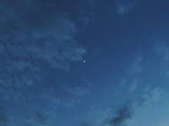 [닥스로키] Plunge into confusion