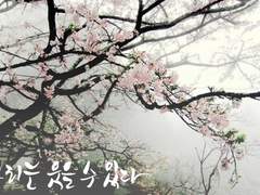 우리는 웃을 수 있다.