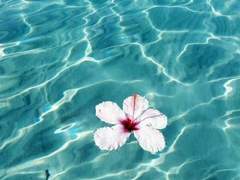 전하고 싶은 이야기가 있어