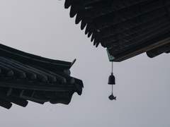 태풍 : 바람은 그림자 없이 분다