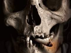 프로젝트의 2번째 클로즈베타 일정이 공개되었습니다.