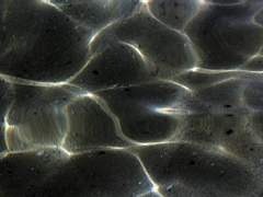 [가스샌] 네브라스카이디스크 옴니버스 #3