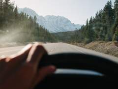 [스팁버키] The cat next door