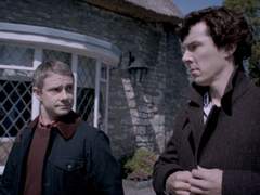 개를 위한 마카롱 플레이리스트