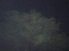 국민스타그램 7 : 헤어짐