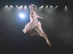 그는 자신이 사랑한 것을 절대 놓치지 않는다 (下)