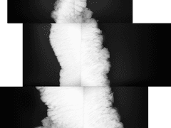 keyword : 월필른, 짱미노른