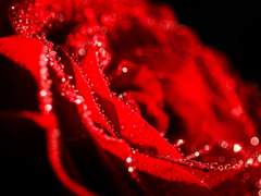 [Assassin's Creed/ 코너X에지오/ 현대 AU] 당신의 영원한 -2-