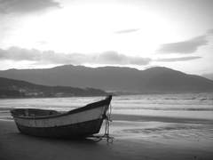 [쌍충] 그리고 남겨진 것들 6~7