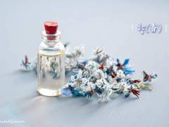 [캇데쿠토도]향(香)