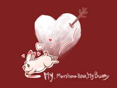 조공_마,마,마,바니...