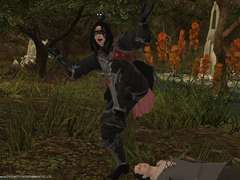 닌자 직업 퀘스트 영판 번역-LV30(1)